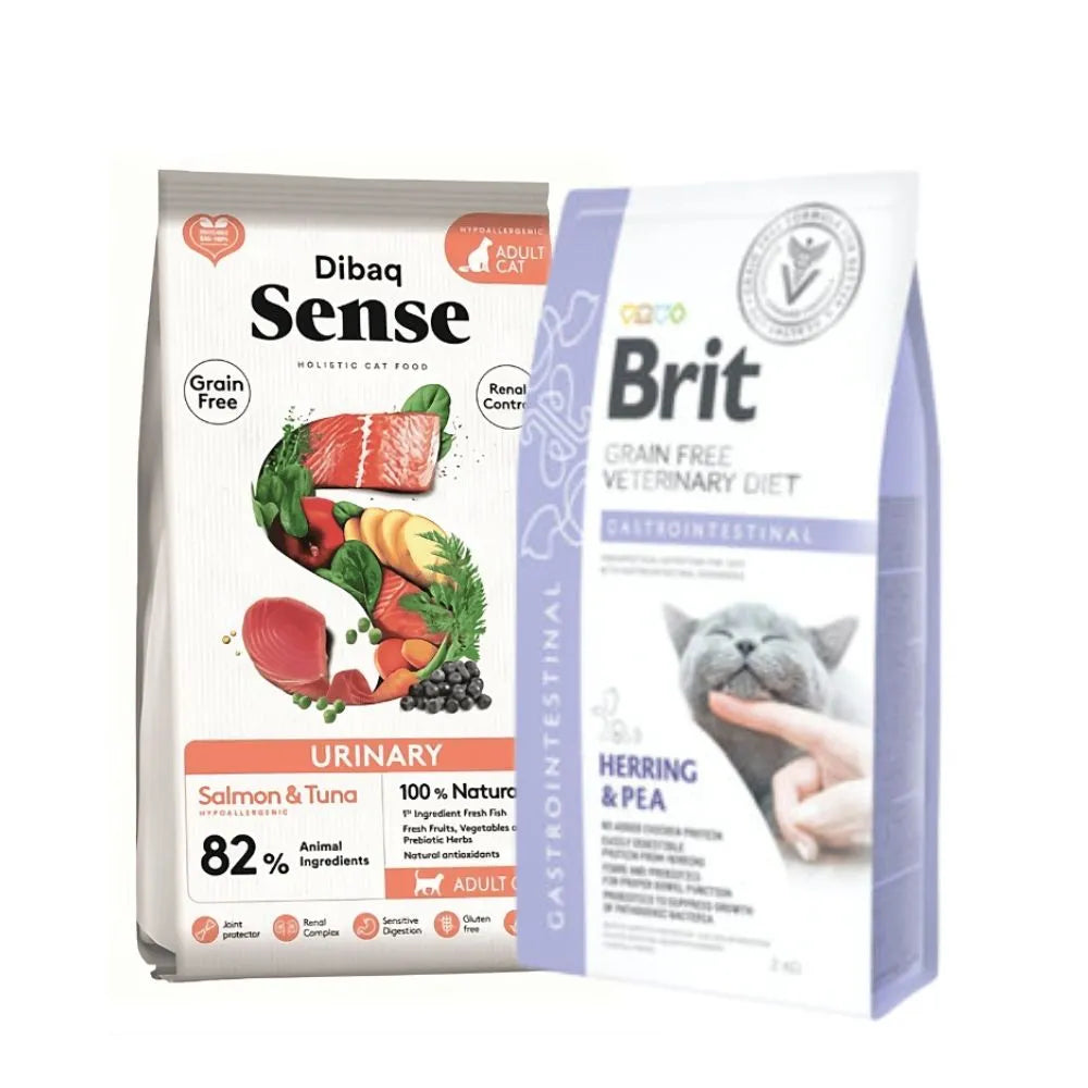 comida gato senior bpets.cl