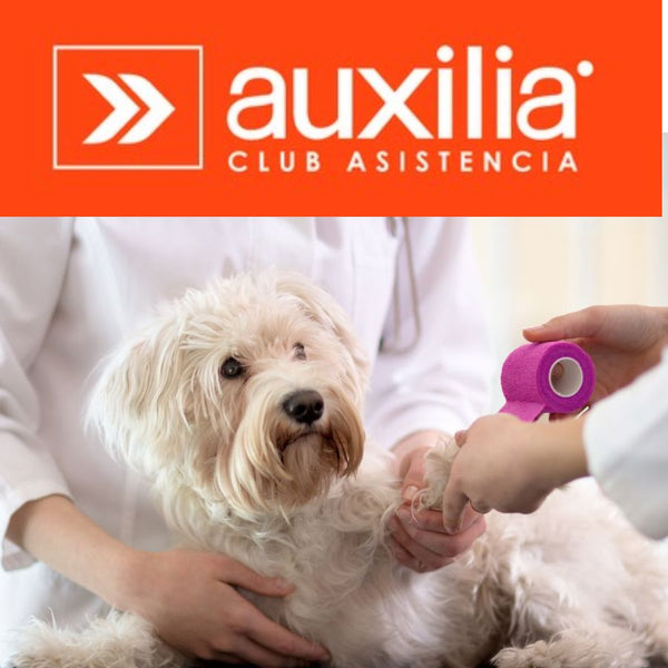 Consulta Perros Auxilia