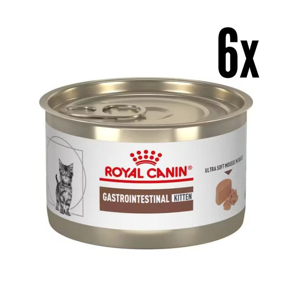Pack 6x Royal Canin Gastrointestinal Kitten Lata 195g alimento húmedo mousse altamente digestible para gatitos, ideal para sensibilidad digestiva y crecimiento saludable.