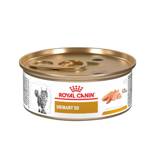 Alimento húmedo Royal Canin Urinary S/O para gatos, disuelve cálculos de estruvita y previene su formación. Promueve una salud urinaria óptima, baja en magnesio.