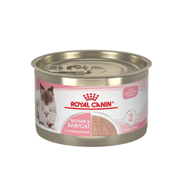 Royal Canin Mother & Babycat Lata 145gr: Alimento de iniciación para gatitos con textura mousse, apoya el microbioma y el sistema inmunológico.