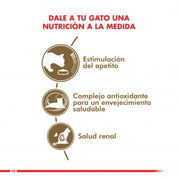 Royal Canin Feline Ageing 12+ Húmedo: Alimento húmedo para gatos mayores de 12 años, con EPA/DHA para salud articular y fósforo adaptado para la función renal. Nutrición completa y equilibrada.