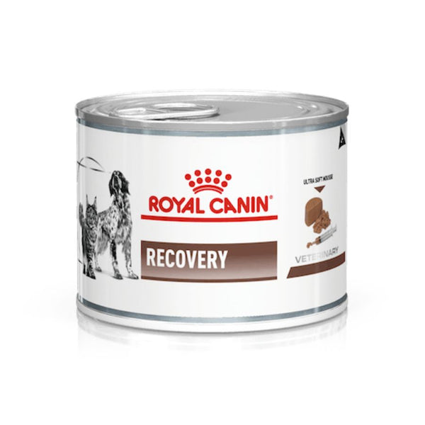 Royal Canin Recovery, energía y nutrientes concentrados para la recuperación de mascotas. Facilita administración por sonda, reducción inflamación y pelaje saludables.