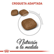 Royal Canin Urinary Care 7.5KG: Alimento para gatos adultos, optimizado para la salud del tracto urinario. Reduce el riesgo de cálculos urinarios y promueve un equilibrio urinario saludable.