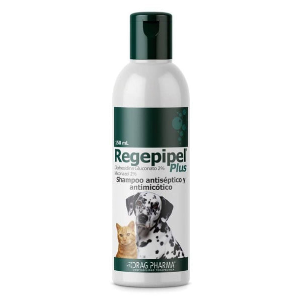 Shampoo Regepipel Plus 150ml antiséptico y antimicótico para perros y gatos. Ideal para tratar dermatitis seborreica e infecciones en la piel.