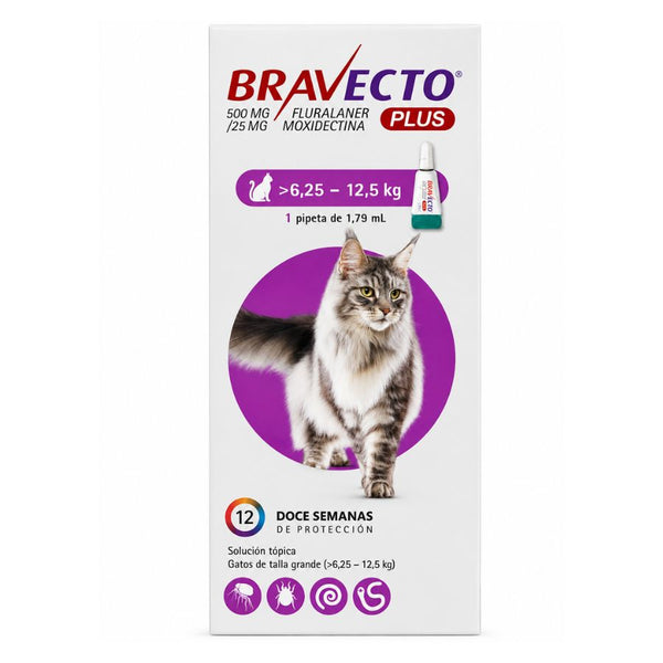 Bravecto Plus Gato 6,25-12,5 kg 500 mg, pipeta spot-on antiparasitaria, frente del envase con 12 semanas de protección