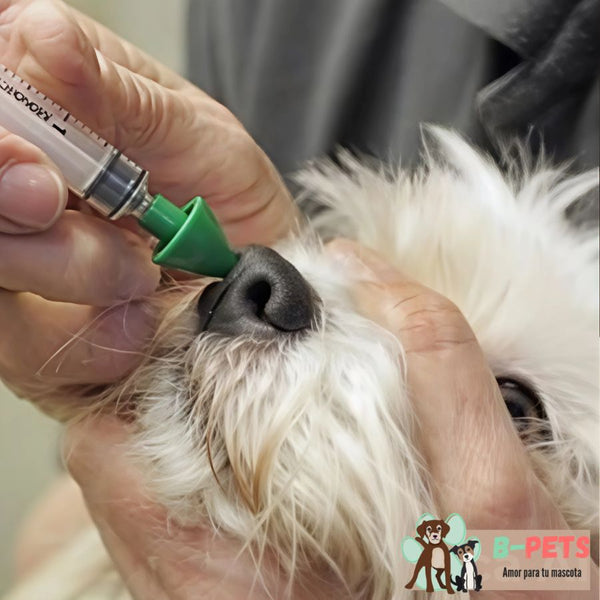 Vacuna KC para perros protege contra la tos de las perreras, una enfermedad respiratoria contagiosa. Ideal para cachorros y perros en contacto social.