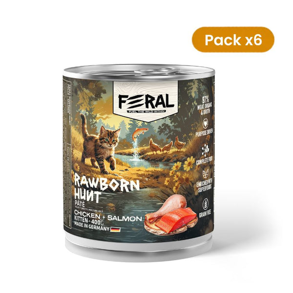 Pack 6 Latas Feral Rawborn Hunt de 400 g con paté de pollo y salmón para gatitos, con un gatito junto al río en la etiqueta