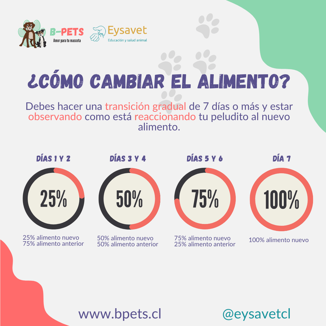 Descubre cómo cambiar el alimento de tu perro sin riesgos 🐾🍽. Sigue nuestra guía paso a paso para una transición segura.
