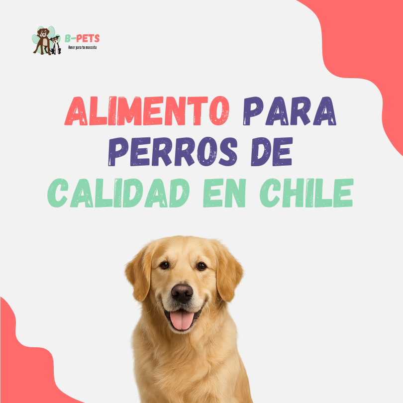 Alimento para perros de calidad en Chile