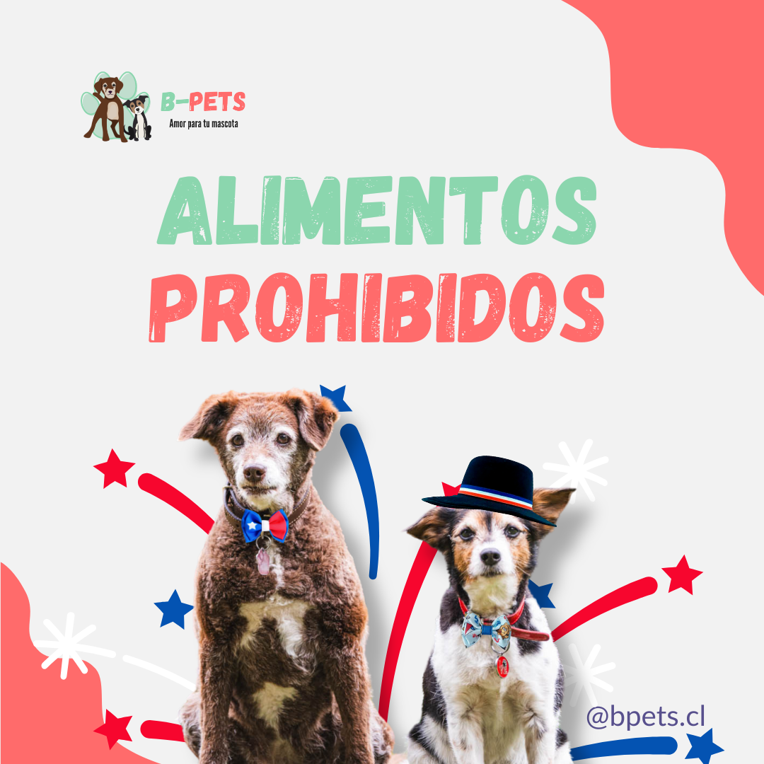 alimentos prohibidos para perros y gatos durante el asado del 18 en chile