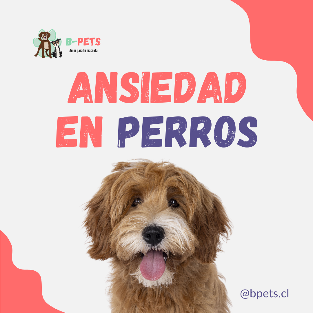 ansiedad en perros