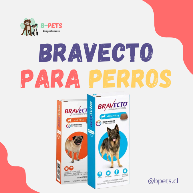 bravecto para perros