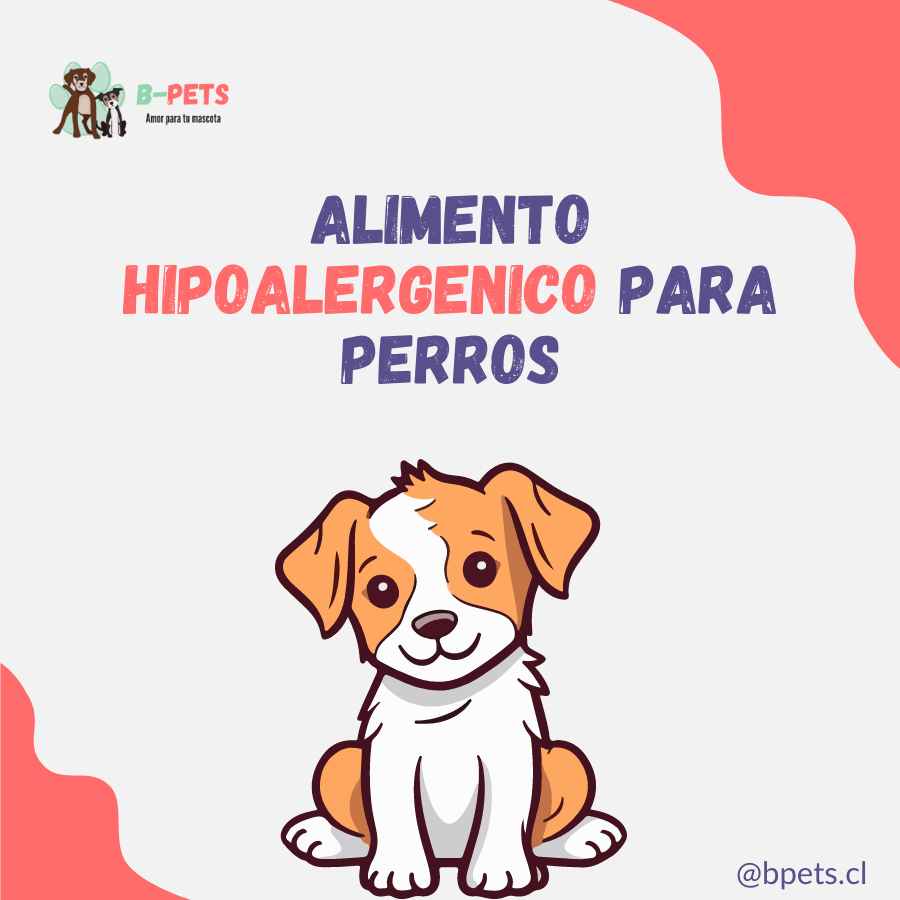 Mejores alimentos hipoalergenicos para perros en Chile 2025