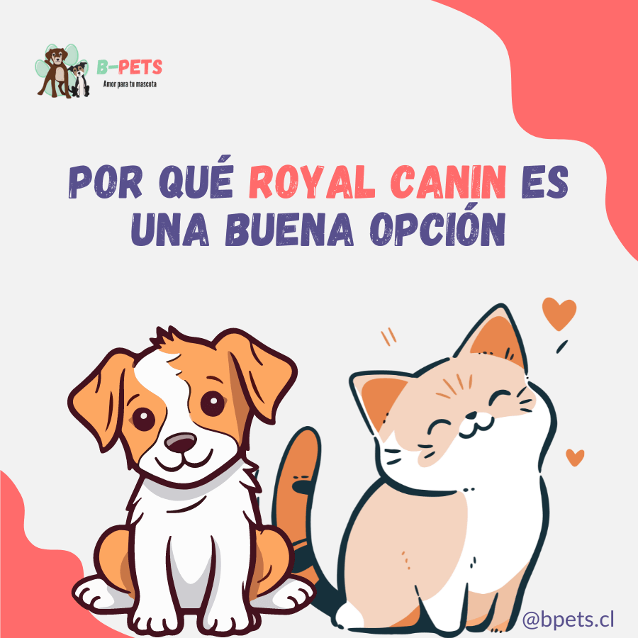 Por que Royal Canin es una buena opción