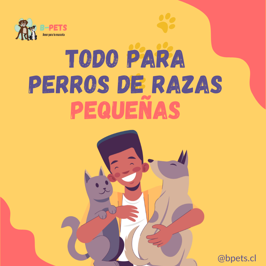 Artículos y comida para perros de razas pequeñas