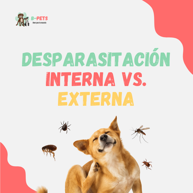 Desparasitación interna vs. externa: diferencias y calendario 🐶🐱