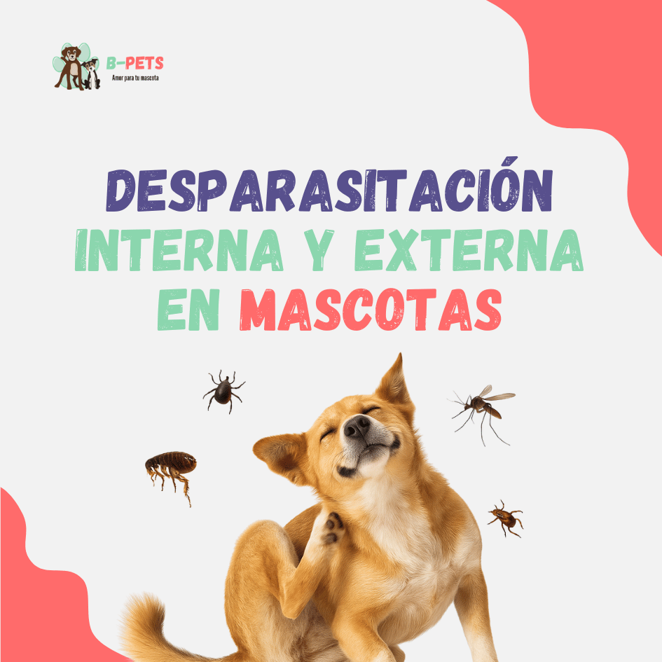 Desparasitación interna y externa en mascotas