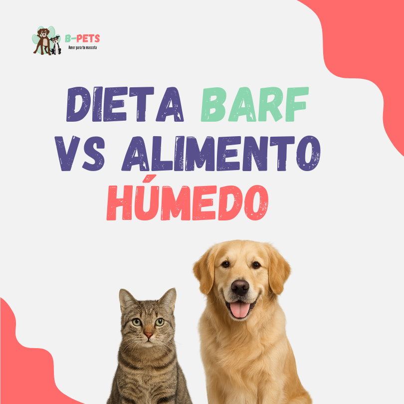 Dieta BARF vs alimento húmedo