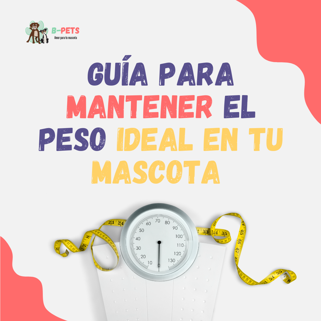 Guía para mantener el peso ideal en tu mascota 