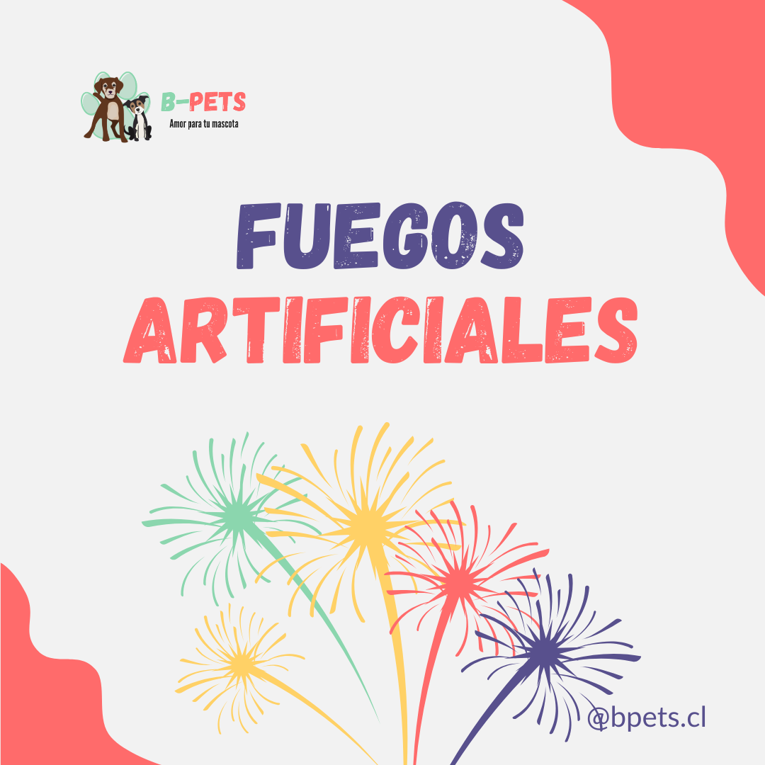 Mascotas y fuegos artificiales: cómo protegerlas