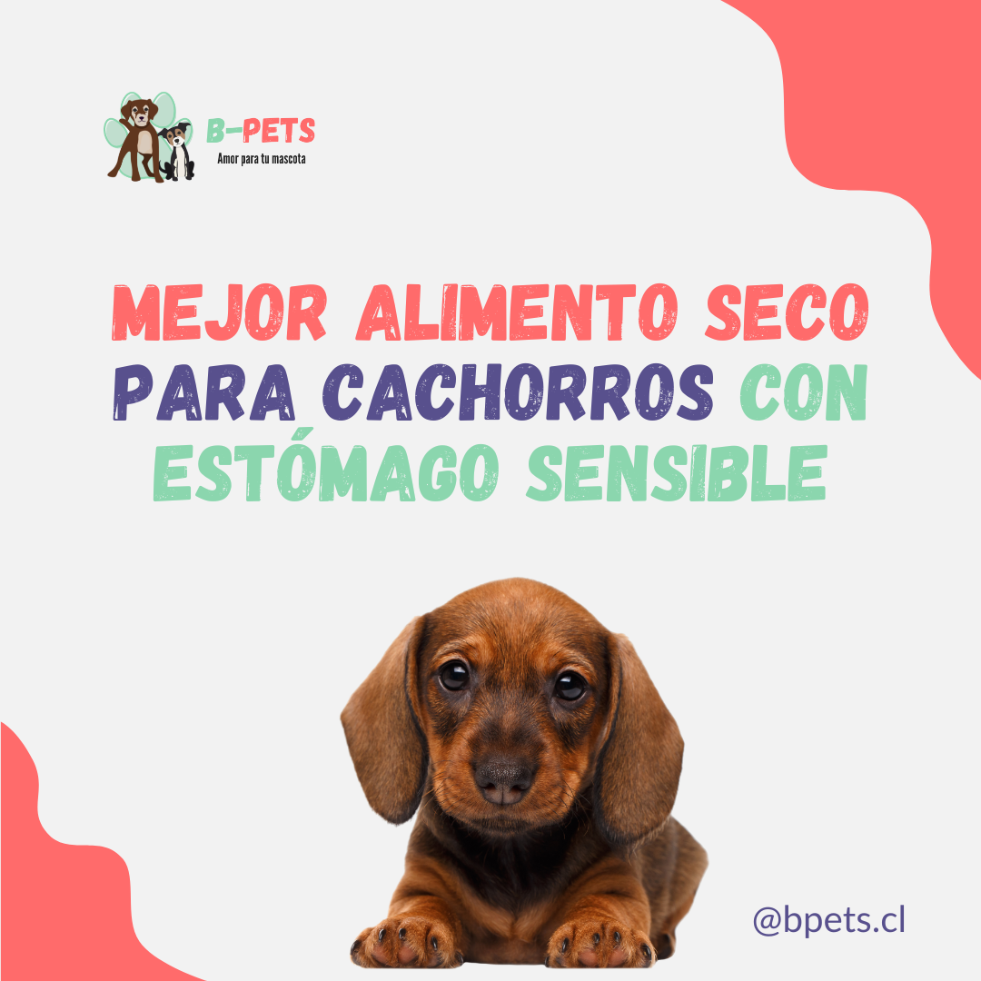 Mejor alimento seco para cachorros con estómago sensible