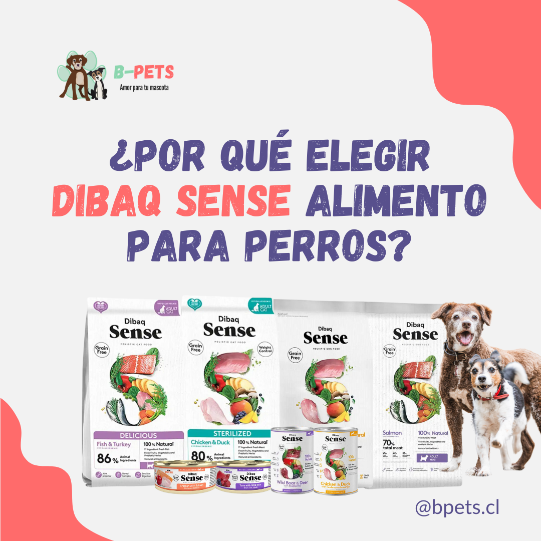 ¿Por qué elegir Dibaq Sense alimento para Perros?