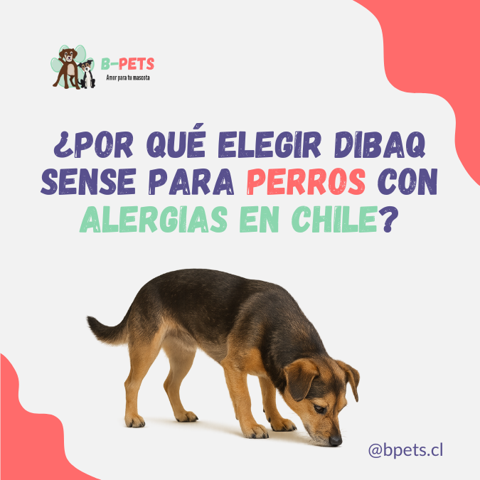 ¿Por qué elegir Dibaq Sense para perros con alergias en Chile?