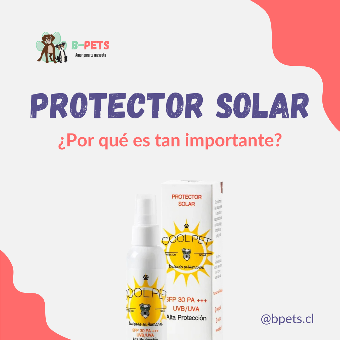Protector solar para perros y gatos: CoolPet 60 ml