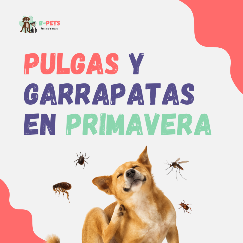 Pulgas y garrapatas en primavera