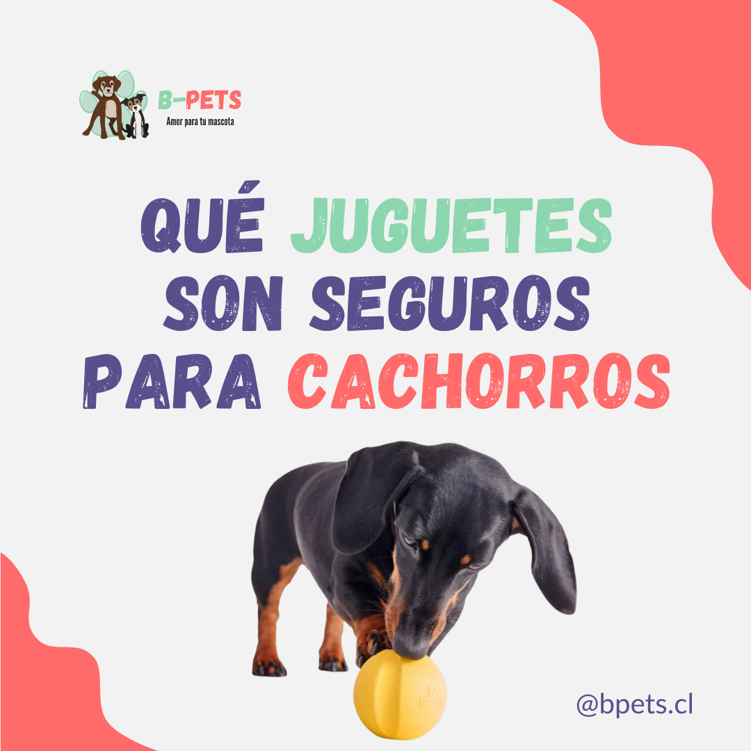 juguetes seguros para cachorros por edad y tamaño — B-Pets veterinaria Providencia Chile