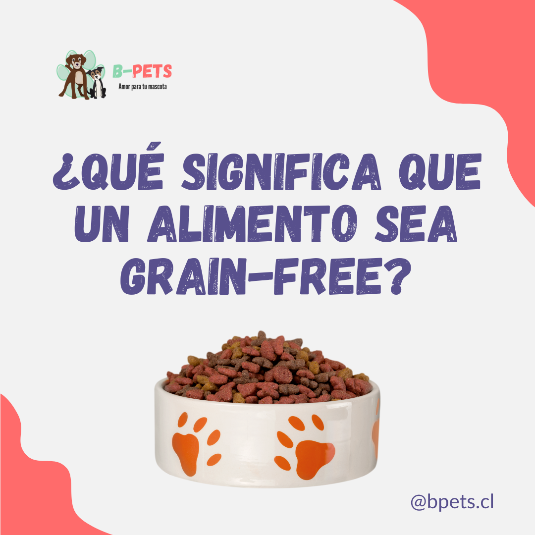 ¿Qué significa que un alimento sea Grain-Free? Beneficios para tu Perro 🐾