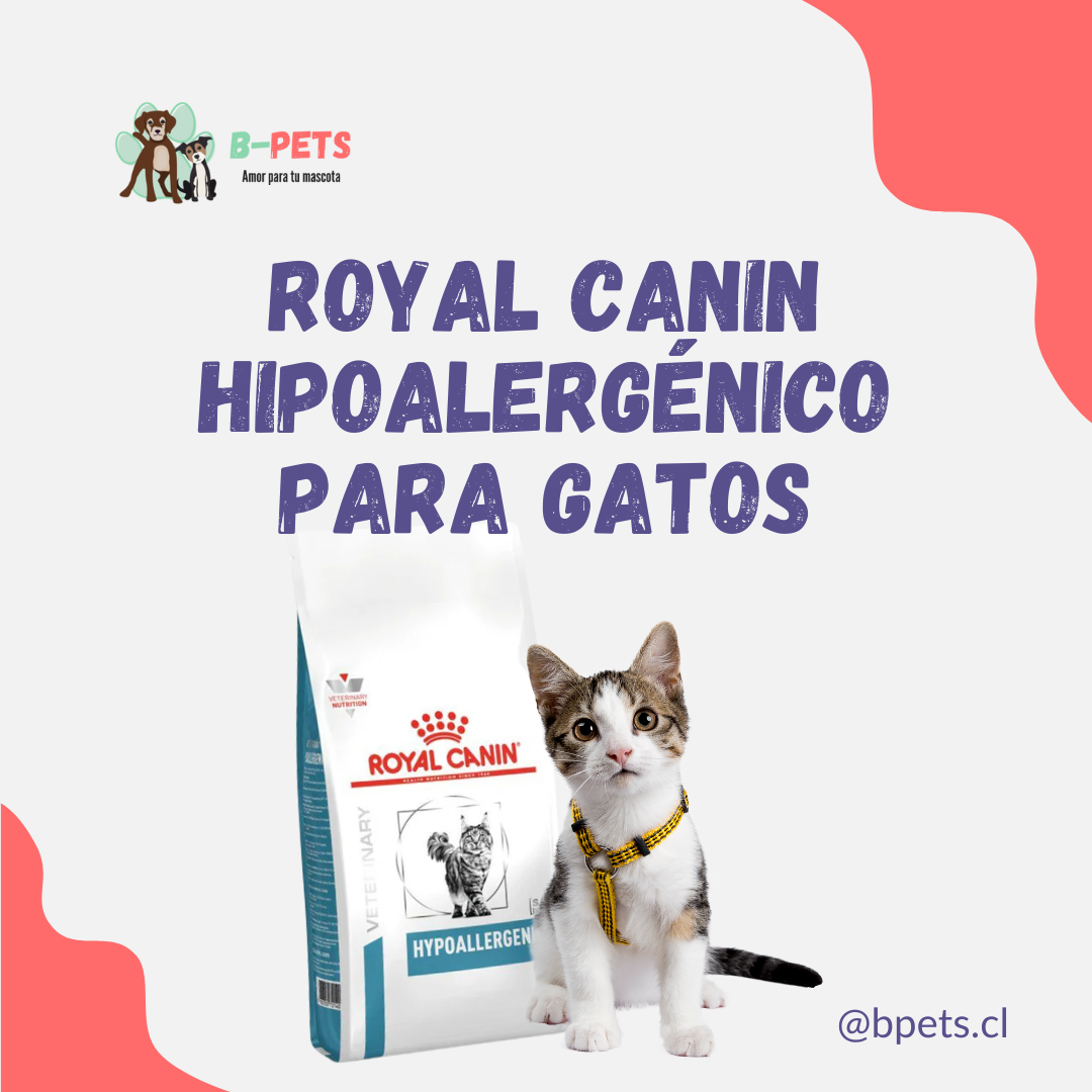 Royal Canin Hipoalergénico para Gatos: La Solución Ideal para Gatos con Sensibilidades Alimentarias