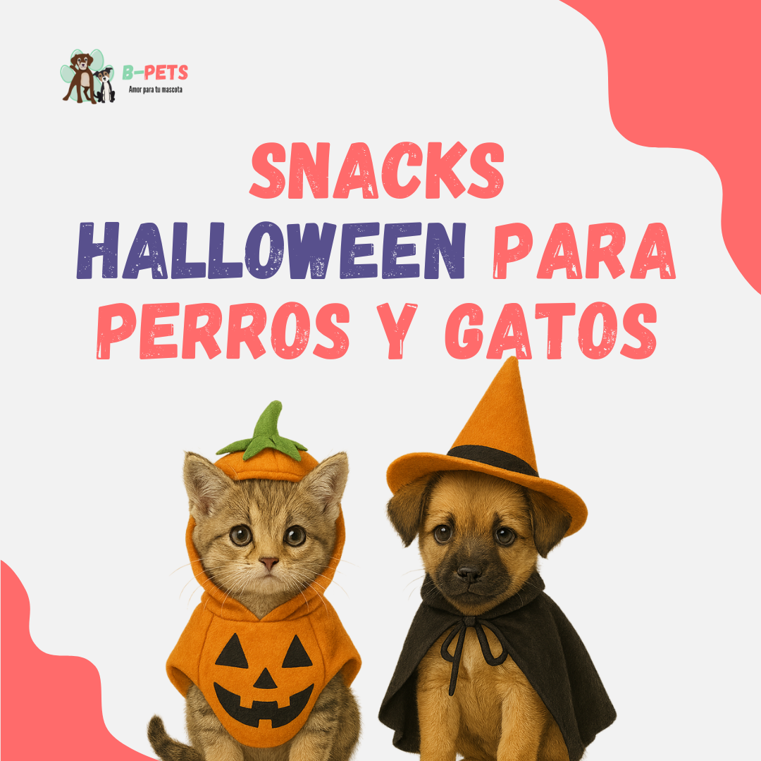 Snacks Halloween para perros y gatos