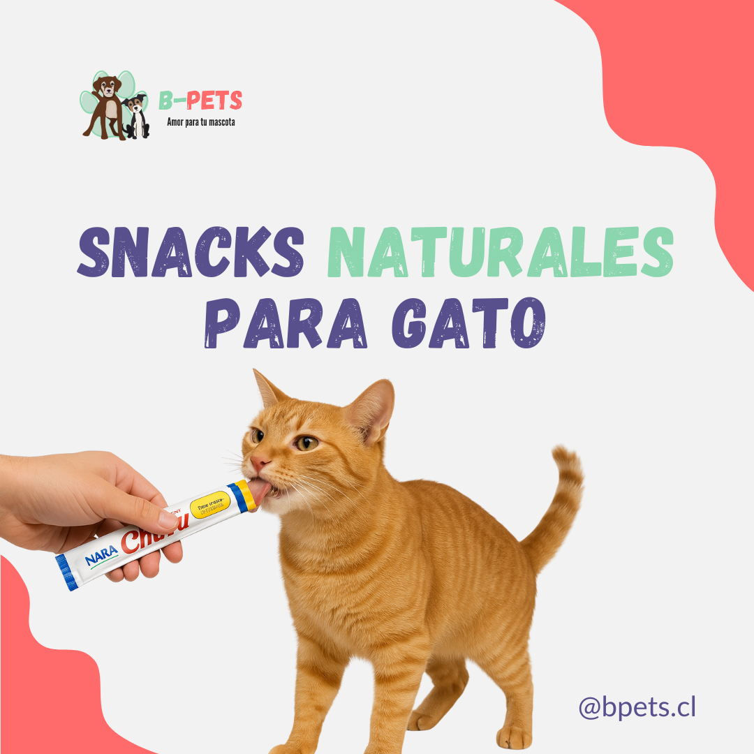 snacks naturales para gato