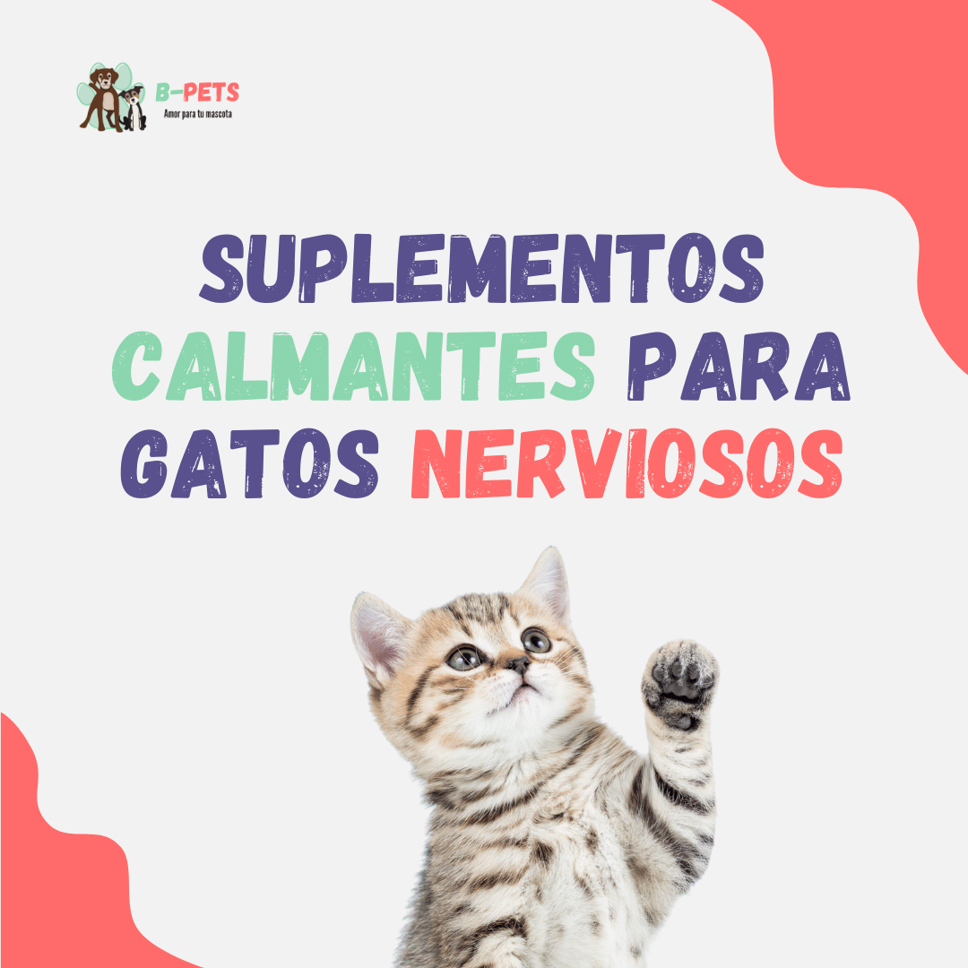 Suplementos calmantes para gatos nerviosos