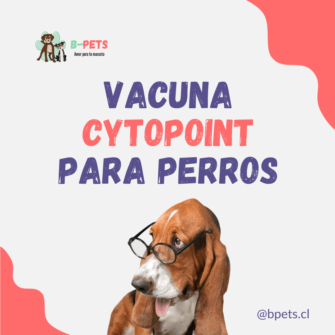 Vacuna Cytopoint para perros