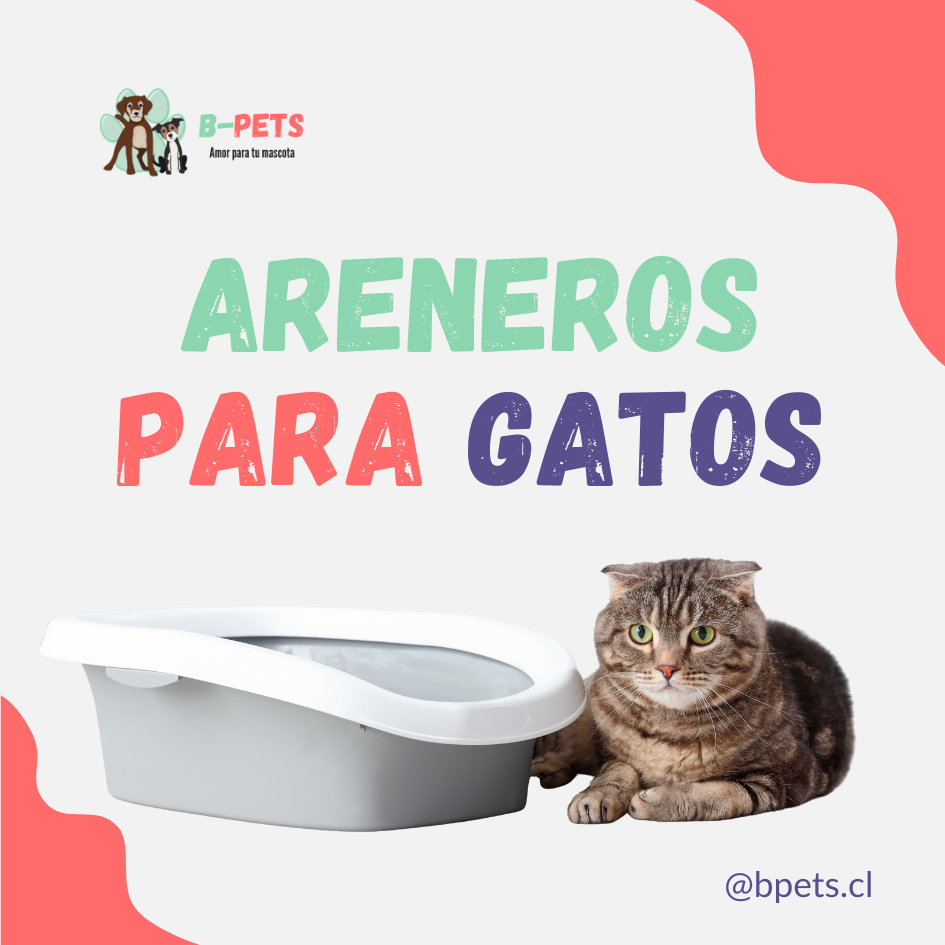 ¿Cómo elegir la mejor caja de arena para gatos y marcas recomendadas?