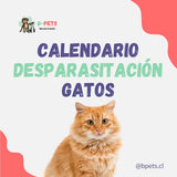 Cada cuánto desparasitar a un gato: calendario por edad y estilo de vida