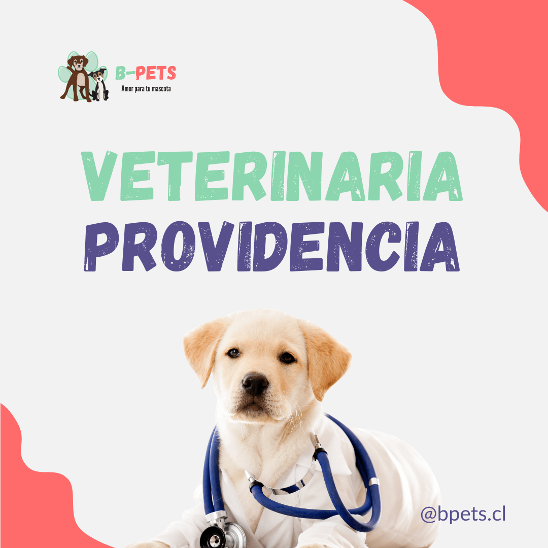clínica-veterinaria-providencia-bpets