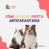 Cómo poner una pipeta a tu perro o gato: paso a paso y sin errores