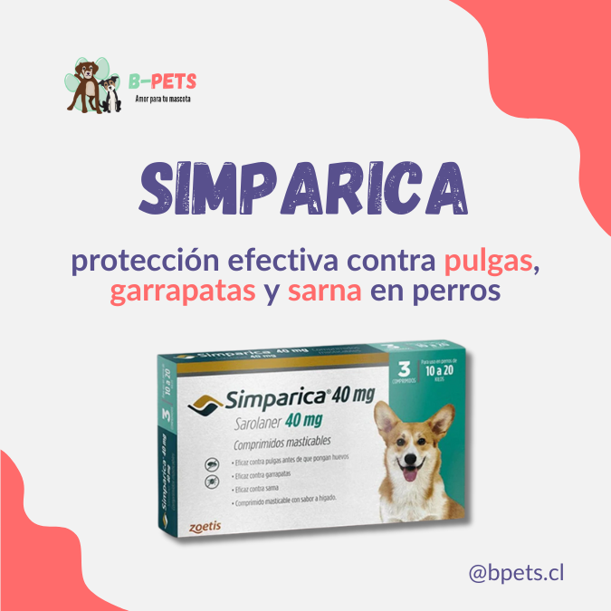 Simparica: protección efectiva contra pulgas, garrapatas y sarna en perros
