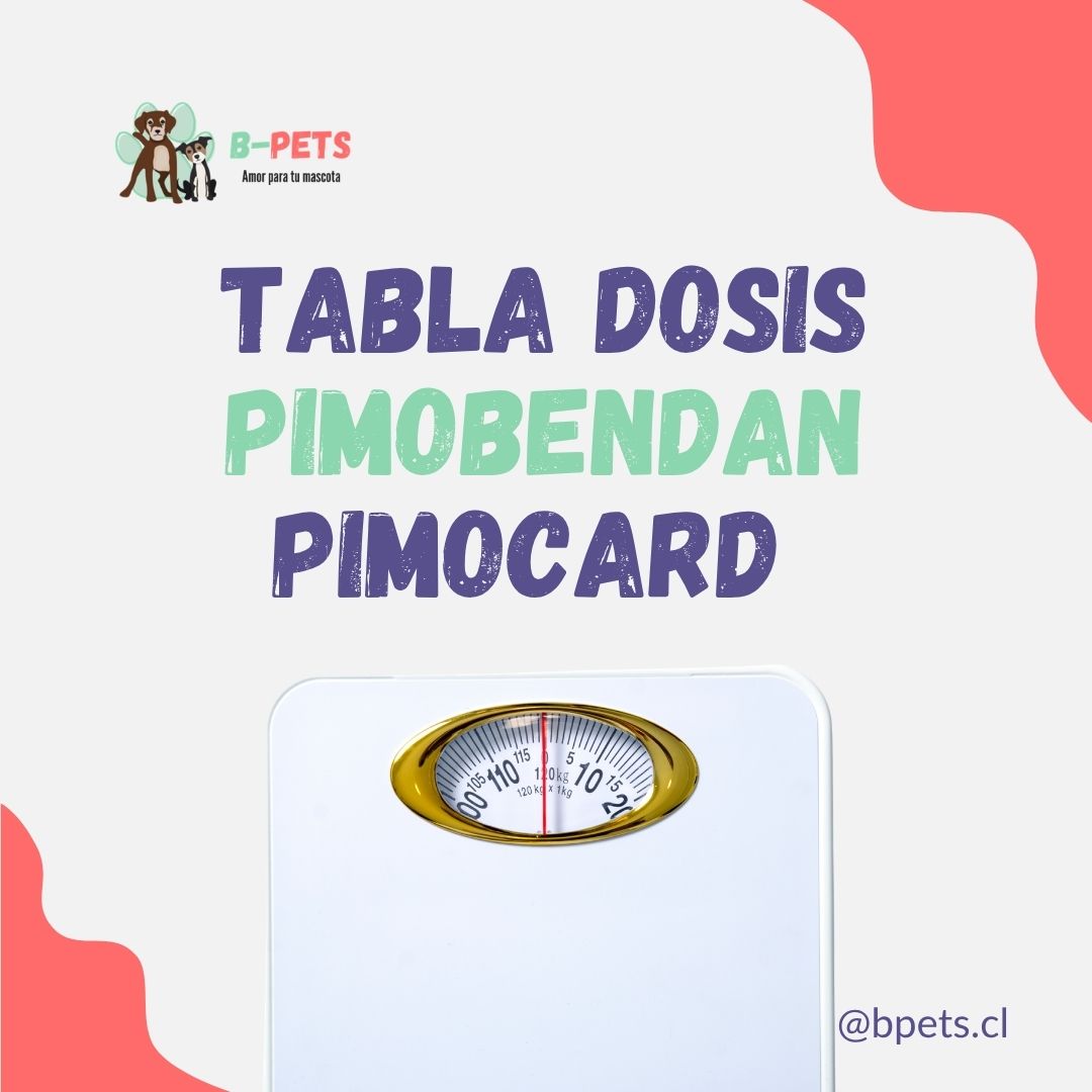 tabla dosis pimobendan Pimocard 5mg por peso perro — B-Pets Chile