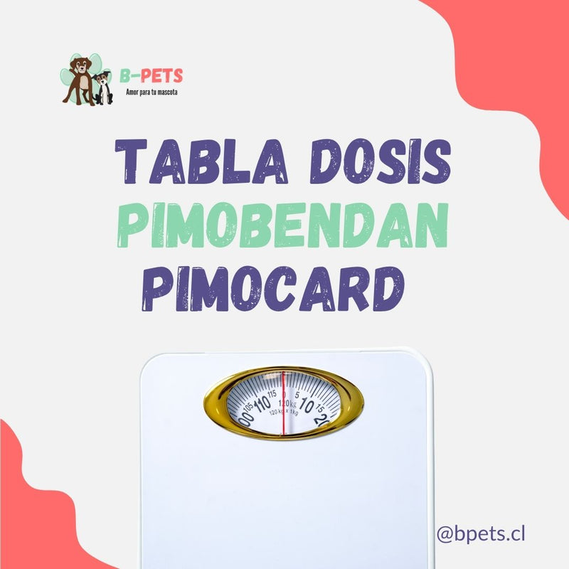 Dosis de pimobendan en perros: tabla por peso y cómo administrarlo correctamente