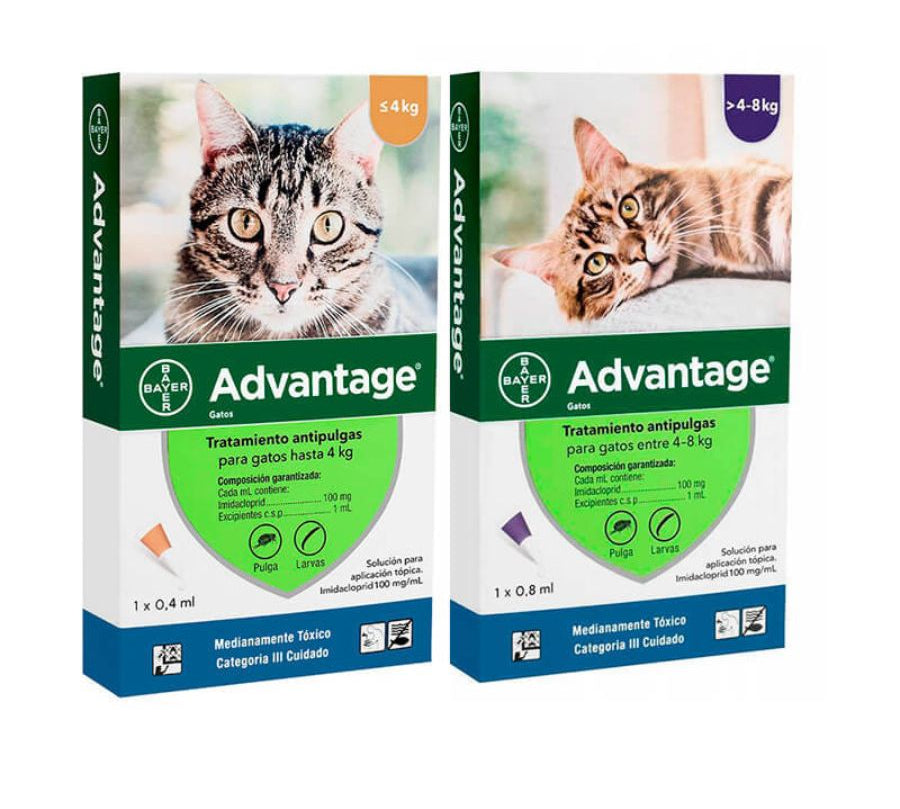 Advantage Pipeta Gatos 4-8kg elimina pulgas en 12 h y protege por 4 semanas. Spot-on seguro, rompe el ciclo vital de las pulgas y alivia la DAPP.