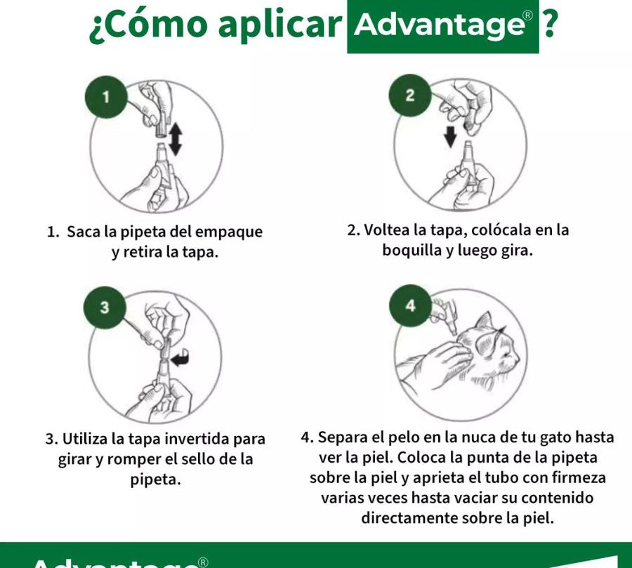 Advantage Gatos < 4 kg elimina pulgas en 12 h y protege por 4 semanas. Spot-on seguro, rompe el ciclo vital de las pulgas y alivia la DAPP.
