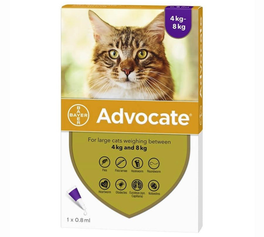 Advocate Pipeta Gatos 4–8 kg antiparasitario de amplio espectro que protege contra pulgas, ácaros, gusanos intestinales y previene el gusano del corazón.