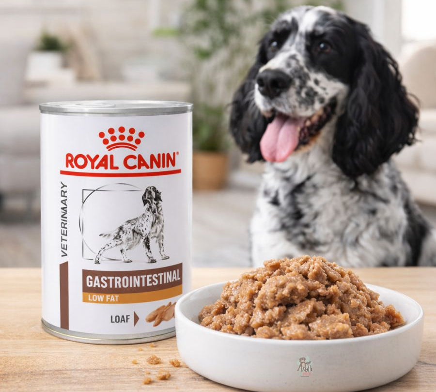 Pack 6x Royal Canin Gastrointestinal Low Fat 420Gr, soporte digestivo especializado para perros con sensibilidad intestinal. Bajo en grasa y altamente digestible.