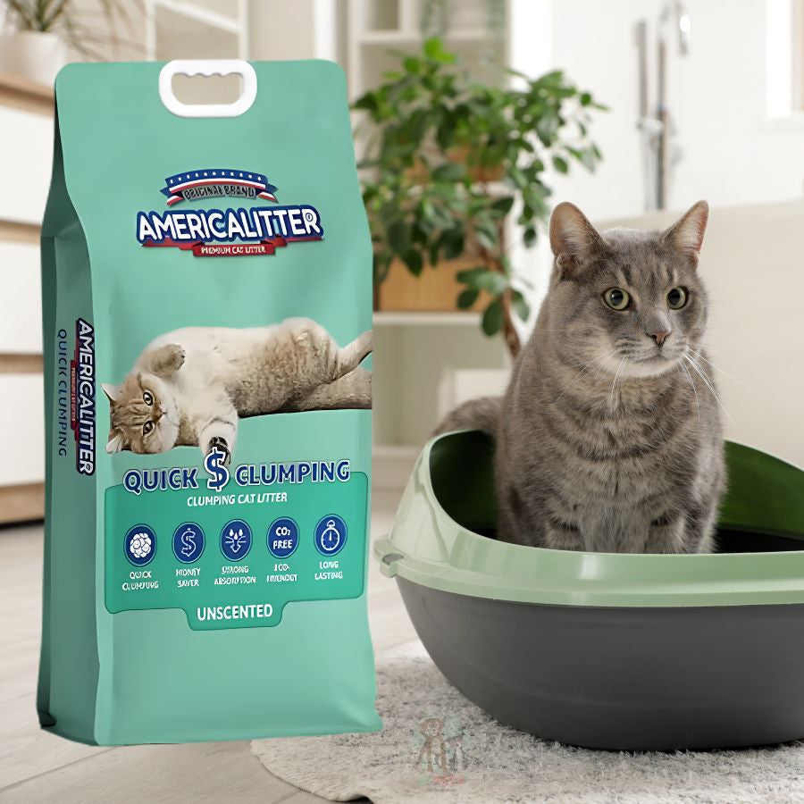 America Litter Quick Clumping 20Kg, arena para gatos con aglutinación rápida y sin aroma, ideal para una limpieza fácil y duradera.