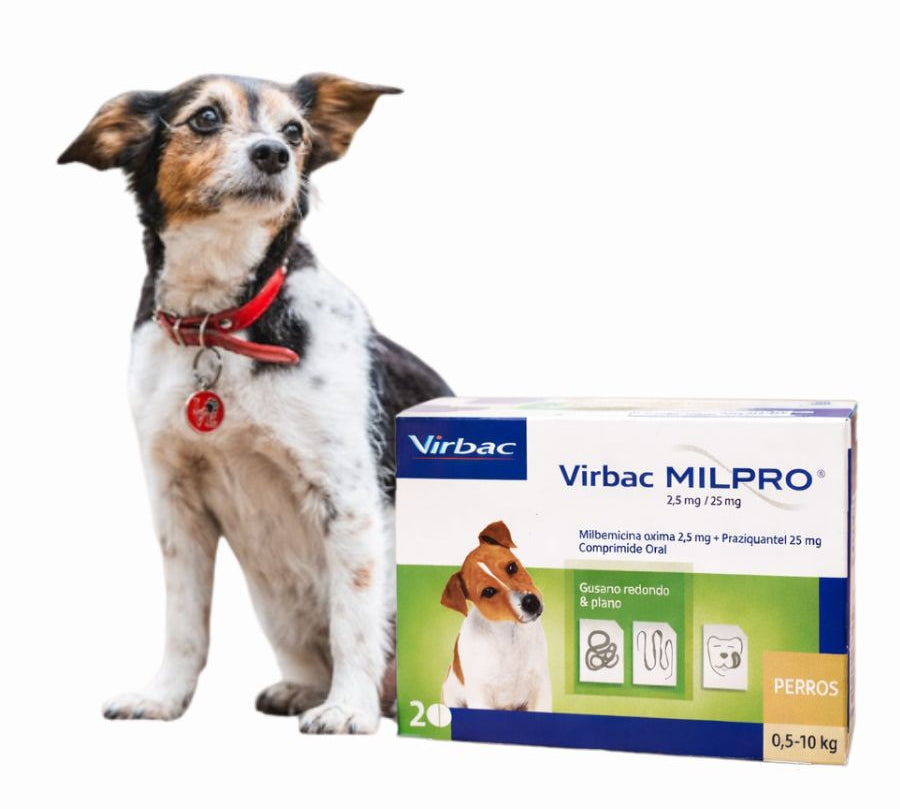 Antiparasitario Virbac Milpro Perros 0,5 a 10kg protección interna eficaz contra nematodos y cestodos, dosis única y fácil administración.